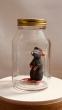 Load image into Gallery viewer, Little Chef in Glass Mason Jar
