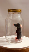 Load image into Gallery viewer, Little Chef in Glass Mason Jar
