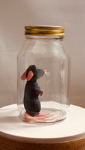 Load image into Gallery viewer, Little Chef in Glass Mason Jar
