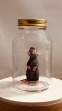 Load image into Gallery viewer, Little Chef in Glass Mason Jar
