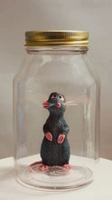 Load and play video in Gallery viewer, Little Chef in Glass Mason Jar
